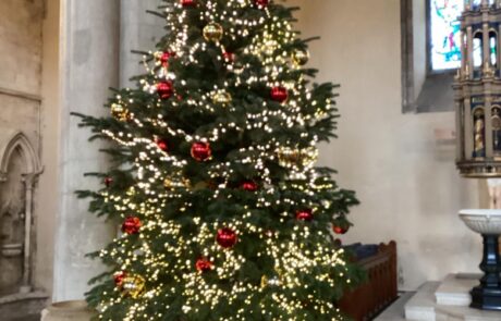 Christmas Tree inside the Cathedral